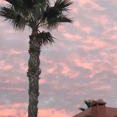 Oasis Papagayo Dreams * Κοραλέχο